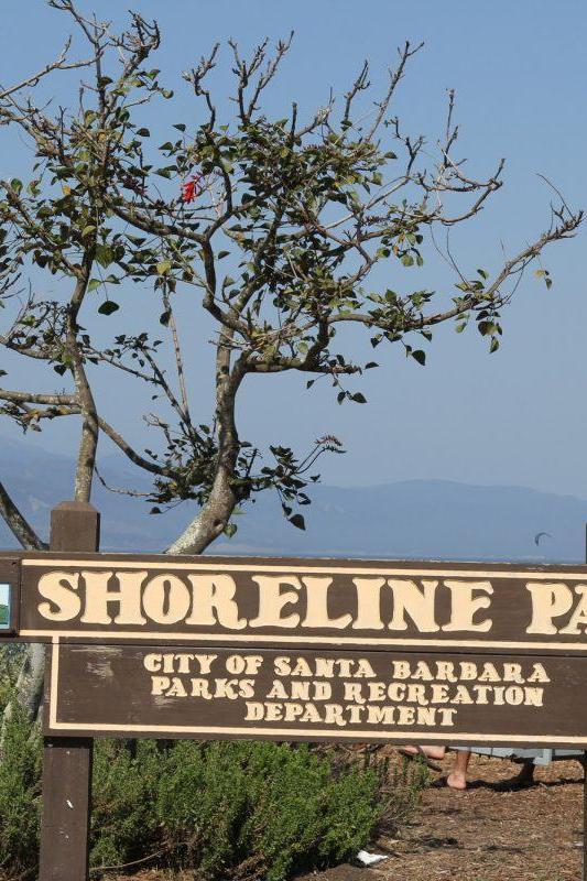 Shoreline Park