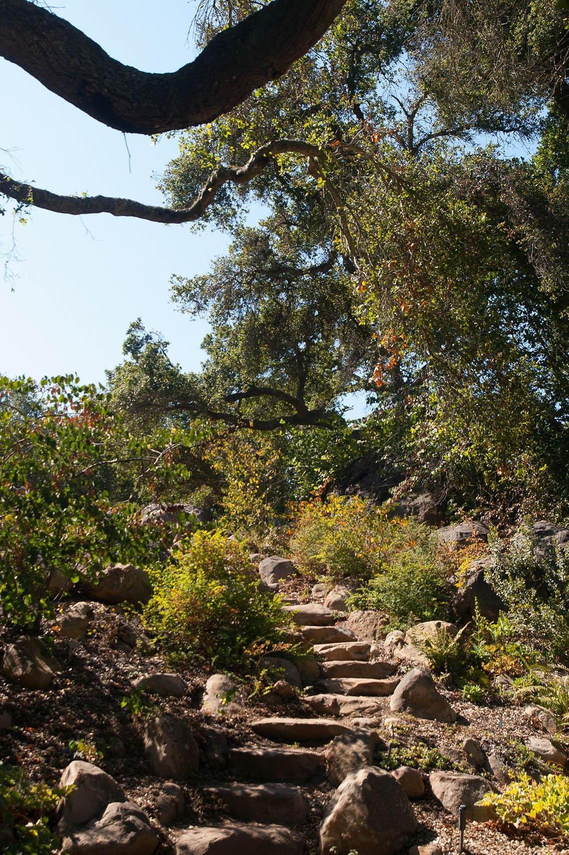Botanical Gardens